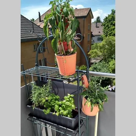 Апартаменти Turicum Mit Balkon Und Parkplatz