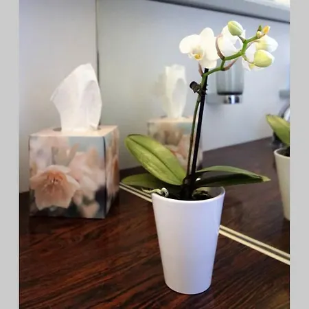 Apartament Turicum Mit Balkon Und Parkplatz