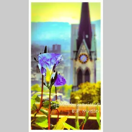 Turicum Mit Balkon Und Parkplatz Zurych